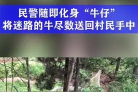 牛仔很忙
警察叔叔也很忙@DOU+小助手 @央视新闻 @中国警察网 @