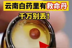 #云南白药的保险子 ，千万别弄丢了，会有意想不到的作用#涨知识#科普#生活常识视频封面