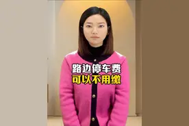 原来路边的停车费是可以不用缴的！ #硬核深度计划 #抖音知识年终大赏 #内容启发搜索 #艺术在抖音