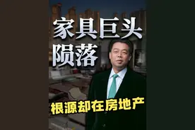 房地产雪崩，汪林朋跳楼；房地产欠的债，正在让全行业付代价。 #看懂中国     #在深圳看懂中国     #掘金计划2025    #房地产    #企业