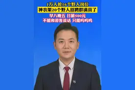 日薪500元当“野人”！1万人抢16个野人岗位，神农架20个野人招聘群满员了。#主播说新闻