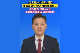 日薪500元当“野人”！1万人抢16个野人岗位，神农架20个野人招聘群满员了。#主播说新闻