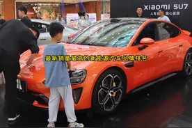 一口气看完最新销量最高的新能源汽车品牌排名 #每天推荐好车