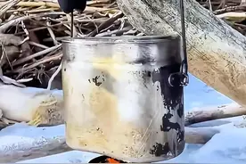 如何制作木炭！ #实用小技巧 #野外生存 #实用分享 #野外露营 #制作过程