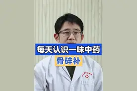 骨碎补 #每天认识一味中药