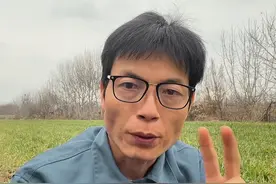 种植大户们都知道的小麦增产增收的秘密 #小麦种植 #农业种植视频封面