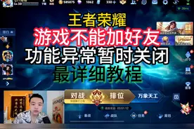 功能异常，暂时关闭。不能加好友轻松解决。 #王者荣耀视频封面