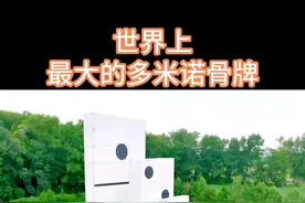 世界上最大的多米诺骨牌 #世界之最 #趣闻视频封面