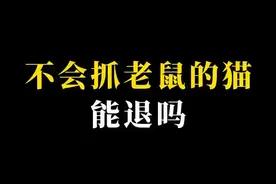 猫和老鼠大战法庭？#猫咪的迷惑行为#猫咪#猫和老鼠#猫#猫抓老鼠#猫不抓老鼠#如今社会在进步猫不在抓老鼠#猫抓不到老鼠#抓老鼠#解除合同 老鼠小猫咪小猫宠物猫抓老鼠猫和老鼠买卖合同退款退货#买卖合同#买卖合同纠纷#宠物#退货#顾客退货退款#法律咨询#法律#法律常识#法律知识#法律科普#法律宣传 视频封面