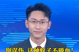 别误伤，这种#蚊子 不吸血！7月30日，中山大学师生团队释放华丽巨蚊幼虫。经研究发现，华丽巨蚊是伊蚊的天敌，其幼虫一生至少可以吃掉80到100条伊蚊幼虫。且华丽巨蚊的雌雄成蚊均不吸血，对人畜不构成侵扰。