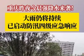 重庆昨夜今晨强降水来袭！大雨仍将持续，国家防总针对安徽、湖北、重庆启动防汛四级应急响应。#第1眼新闻便民服务资讯 #烟火山城视频封面