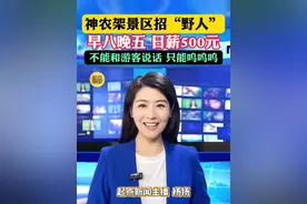 神农架景区招“野人”！早八晚五 日薪500元！ 不能和游客说话 只能呜呜呜 网友：心动视频封面