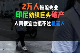 印尼最大纺织企业 Sritex 宣布破产，2万人失业！曾是东南亚纺织龙头，如今为何轰然倒下？#印尼最大纺织企业 #Sritex  #黑灯工厂 #产业升级#服装工厂#标杆工厂视频封面