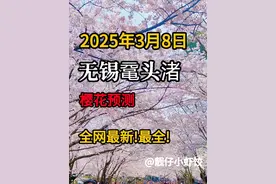 2025无锡鼋头渚赏樱攻略 | 带你一起云赏樱(二) 今天是3月8号视频封面