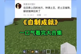 我的世界：一口气看完自制成就合集！#我的世界