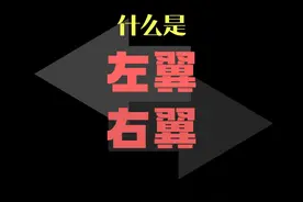 什么是左翼、右翼、左派、右派？ #左翼 #右翼
