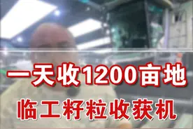 一天能收1200亩地的籽粒机，临工籽粒收获机#收割机  #2024中国国际农机展  #四季为农用农机视频封面
