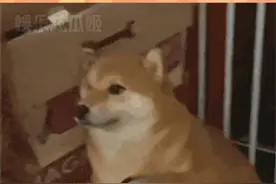 真的是我从未想到过的COS方向！ #漫展 #无语 #cosplay