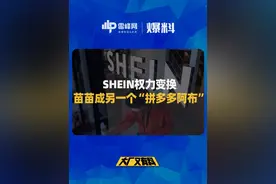 许仰天把苗苗提拔为COO，苗苗不但收编了另外两个创始元老，还把许仰天管辖的深圳AIDC团队一并收了…#SHEIN #拼多多 #互联网视频封面