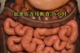 连续36小时不吃东西，身体会经历什么？ 不吃饭36小时，会发生什么？
 你以为会虚脱，但身体其实开始燃烧脂肪、清理毒素，
 甚至自动“吃掉”坏死细胞？
 这不是惩罚，而是一次“生物黑科技”级的自我进化
一分钟带你了解「断食36小时」的完整变化过程！#科普 #知识科普 #科普好奇岛 #科普一下 #生命科学