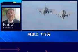 “阵风”不好卖了！印尼震惊歼-10C战果，重审81亿采购计划 #抖音热评 #歼10C视频封面