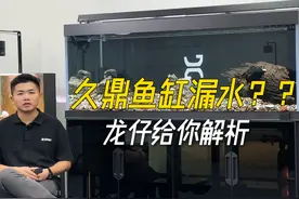 久鼎鱼缸漏水？？ #久鼎鱼缸 #鱼缸漏水 #水族 #养鱼 ##鱼缸视频封面