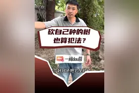 啥！砍自己种的树也可能犯法？ 注意啦，未经许可伐树，可能要负刑事责任。那不需要承担责任的情况又有哪些？#一问dou答  #法律常识  #普法小剧场  #砍自家树被罚14万  #晶晶说法 @北三环正能量视频封面