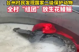 台州村民发现国家二级保护动物花鳗鲡，全村“组团”去放生~（来源：台州。小梅（1））视频封面