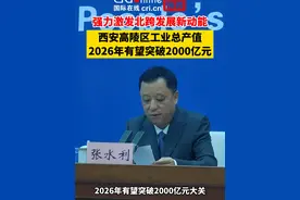 强力激发北跨发展新动能，西安高陵区工业总产值2026年有望突破2000亿。#陕西dou知道 #高陵视频封面