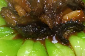 家常菜-葱烧海参，精彩美食持续更新~#美食教程 #美食 #葱烧海参 