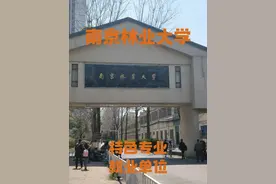 南京林业大学——特色专业（就业单位） #南京林业大学 #江苏南京视频封面