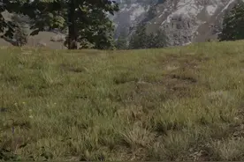 上古卷轴4：湮灭重制版 003