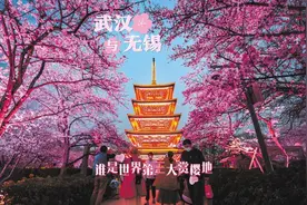 武汉与无锡到底谁是世界第三大赏樱胜地？ #樱花 #武汉大学视频封面