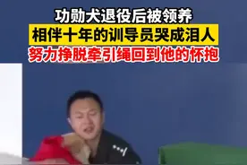 7月12日河北沧州，相伴十年的#功勋犬退役被领养，训导员哭成泪人。#警犬 #泪目 视频封面