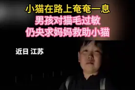 近日江苏，母子在路上遇到一只奄奄一息的小猫，男孩对猫毛过敏仍央求妈妈救助小猫视频封面