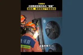 前方高能！大蛇空调外机乘凉消防帮换避暑圣地。 #天津消防 #救援名场面 #权威解读视频封面