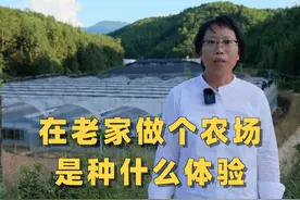 回老家租200亩地，种几百颗果树，养一群鸡鸭，是种什么体验 #我的乡村生活 #记录真实生活 #新农人计划2024视频封面