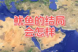 鱿鱼的结局会怎样？ #巴以冲突 #中东 #黎巴嫩 #国际