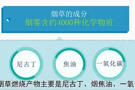 👀👀烟草的成分——烟草燃烧产物主要是尼古丁、烟焦油