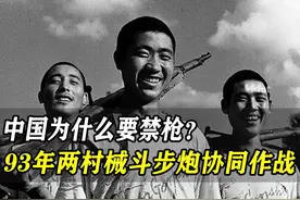 中国为何要禁枪？93年湖南两村械斗，5000人参战步 炮协同作战
