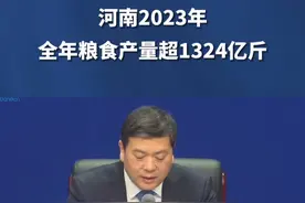 河南2023年全年粮食产量超1324亿斤 （记者：郝宏杰；编辑：李佳泽）视频封面