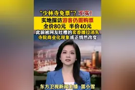 "少林寺免票"？不实！实地探访游客仍需购票：全价80元 半价40元 #少林寺#免票#游客#商业化视频封面