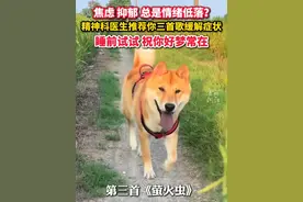 焦虑？抑郁？总是情绪低落？#精神科医生推荐你三首能让心情变好的歌  #睡前 试试看吧~ #助眠