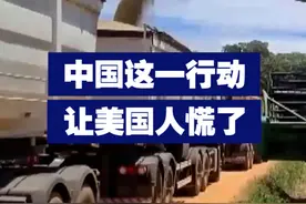 【美国有些人慌了？中国从巴西采购240万吨大豆】近日，美媒称，中国从巴西采购240万吨大豆。视频封面