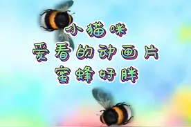 亲测猫咪爱看的动画片，不要忽视对猫咪的陪伴#猫咪看的动画片