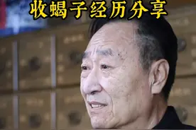 分享一段收蝎子的经历，也反映出蝎子过分加盐的问题 #中药传承 #蝎子 #全虫 #故事分享