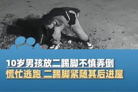 2月7日（采访），河南周口，10岁男孩放二踢脚不慎弄倒，慌忙逃跑，二踢脚紧随其后进屋，妈妈：他的玩具炸飞枕头炸坏了