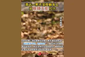 清远一男子在家中被眼镜王蛇咬伤！2025年6月9日晚，清远英德浛洸镇一男子酒后回房间，躺在床上时被眼镜王蛇咬伤，前往当地卫生院就医时，被紧急送往清远市人民医院注射抗蛇毒血清，经过系统的治疗后，目前患者症状改善，病情平稳，将于近日出院。

每年4月至10月是蛇咬伤高发期。清远因气候温暖，全年均有零星病例，但近期明显增多。钓鱼者、农民等户外活动频繁的人群需提高防范意识，避免徒手翻动草丛、石块，夜间行走时注意照明。若被蛇咬伤，应尽量记住蛇的特征或拍照，务必争分夺秒送医。#眼镜王蛇 #毒蛇 #毒蛇咬伤 #清远 #英德