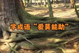 学成语“爱莫能助” #热点 #传统文化 #成语 #文化传承