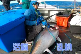 这蓝鳍金枪鱼假的吧，怎么会动的！ #悉尼海钓A大师 #热点视频封面